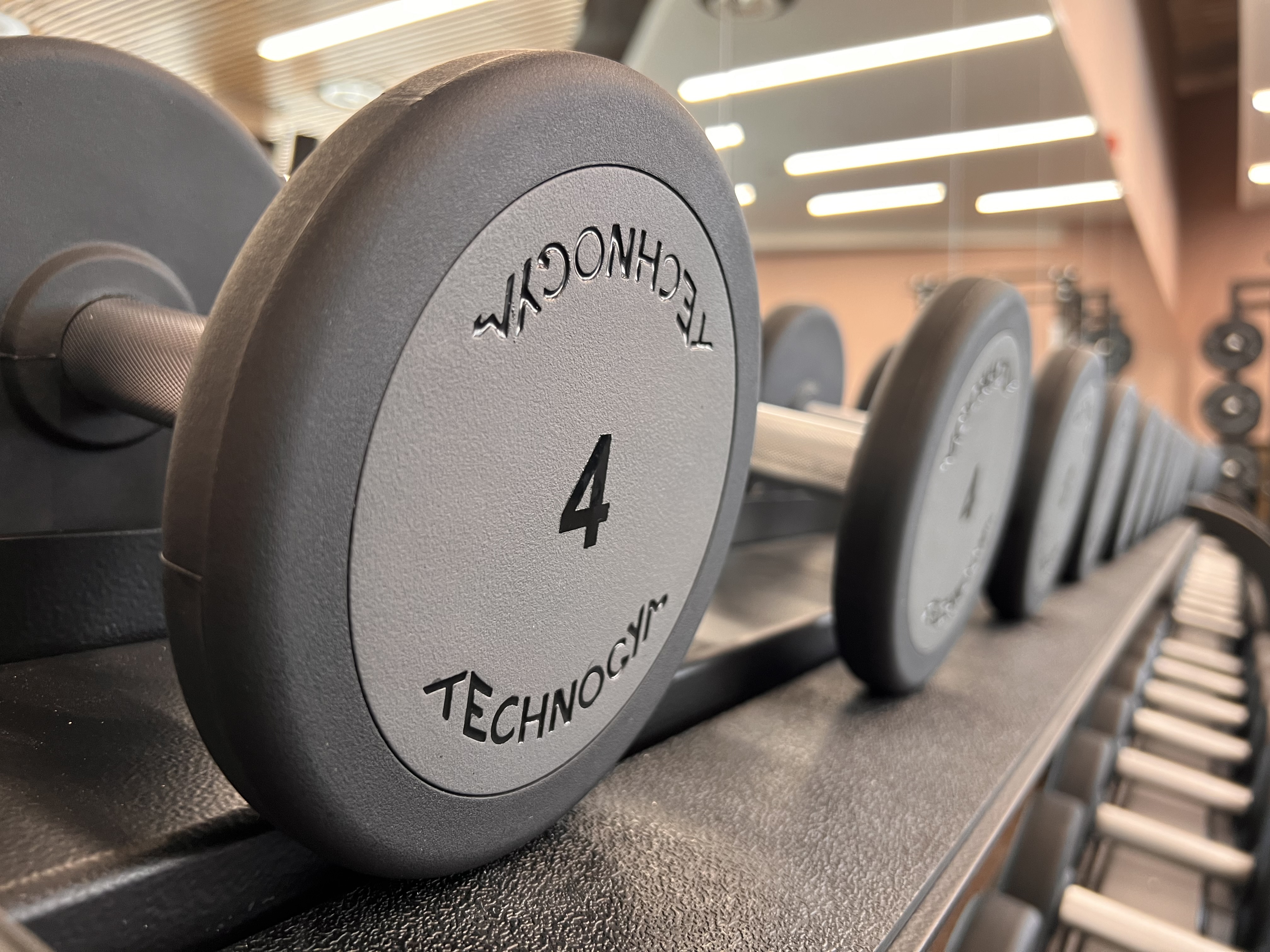 Image weight in the gym